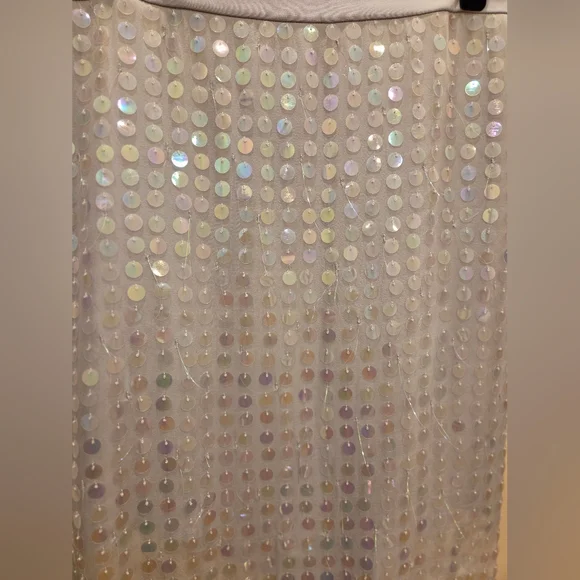 Cushnie High Waisted Sheer Skirt, Silk, Silver Asymmetrical Sequins Iridescent - Picture 4 of 9